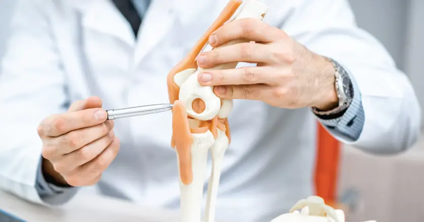 Rekkort: Ortopedi Alanında Bilgi Paylaşımı ve Mesleki Gelişim