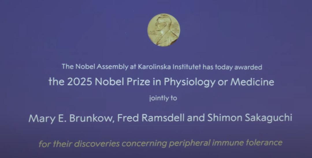 2025 Nobel Tıp Ödülü Sahipleri Açıklandı! 2025 Nobel Tıp Ödülü'nü kim kazandı? 2