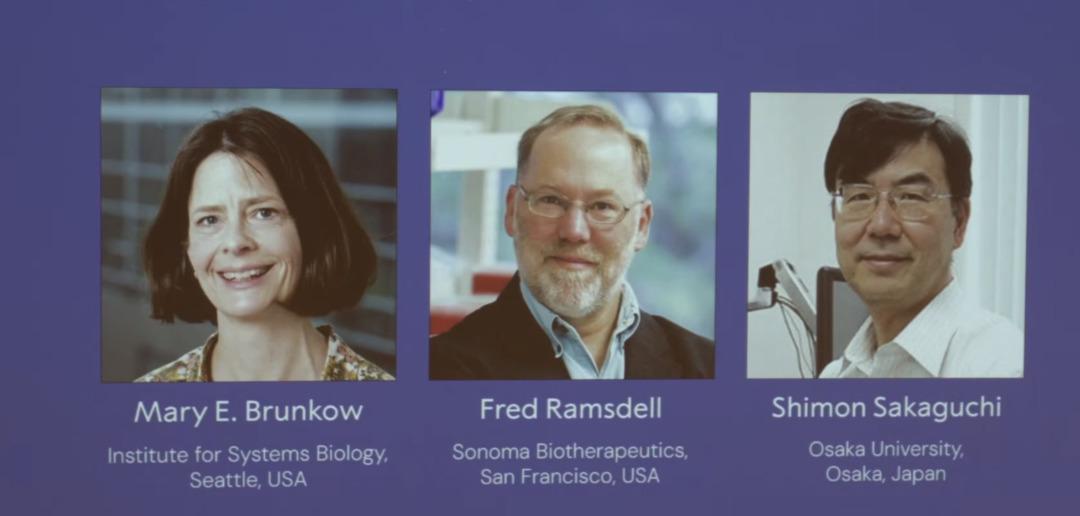 2025 Nobel Tıp Ödülü Sahipleri Açıklandı! 2025 Nobel Tıp Ödülü'nü kim kazandı? 3