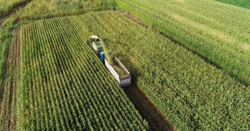 Bugün çiftçiye 471,6 milyon lira destek verilecek