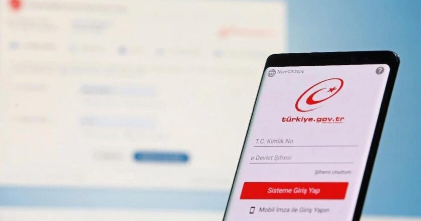 E Devlette çoğu kişinin bilmediği hizmetler ilgi topluyor